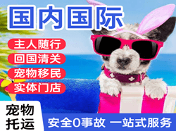 阿拉善机场快运国际宠物托运 【国